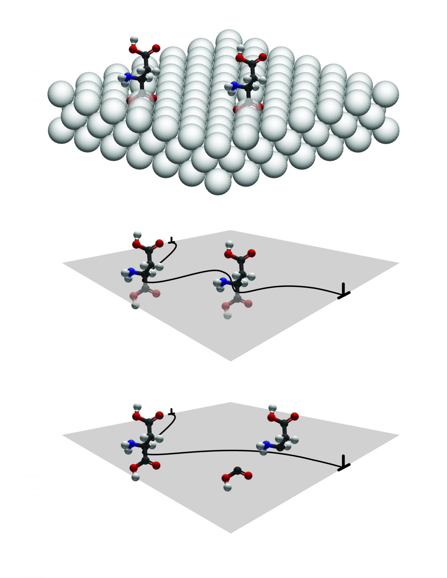 Made Better through Science: Calcite Tuned to Be Mollusk-Tough