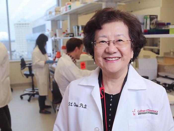 Diana S-L Chow, University of Houston Paula & John J. Lovoi Sr. Endowed Professor in Drug Discovery and Development and director of the Institute of Drug Education and Research at the UH College of Pharmacy, is known globally.