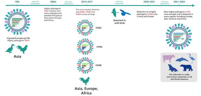 Evolution of H5N1