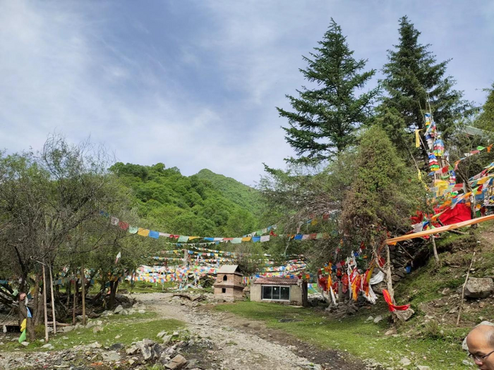 Wood resources in the northeast Tibetan Plateau