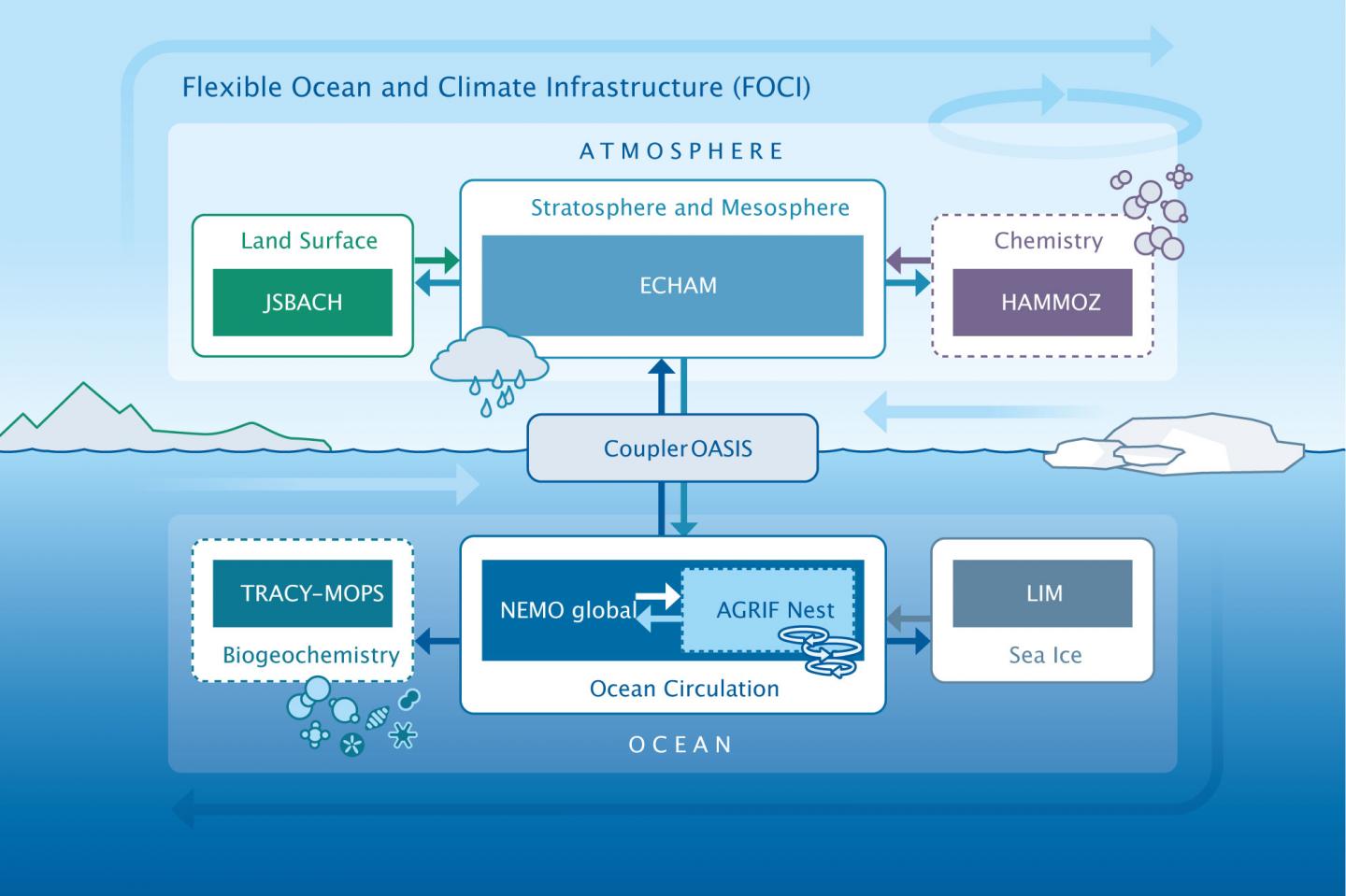 Schematic Diagram of the FOCI Model System