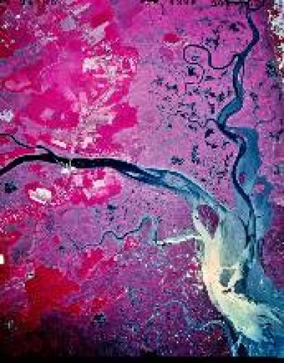 Parker River Mouth through Plum Island's Salt Marshes