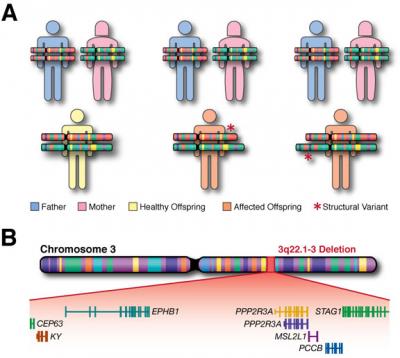 Researchers Pinpoint Gene Mutations Responsible for 10 Percent of Schizophrenia