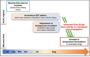 Linkage between February Arctic sea ice and August Eurasian temperature fluctuations