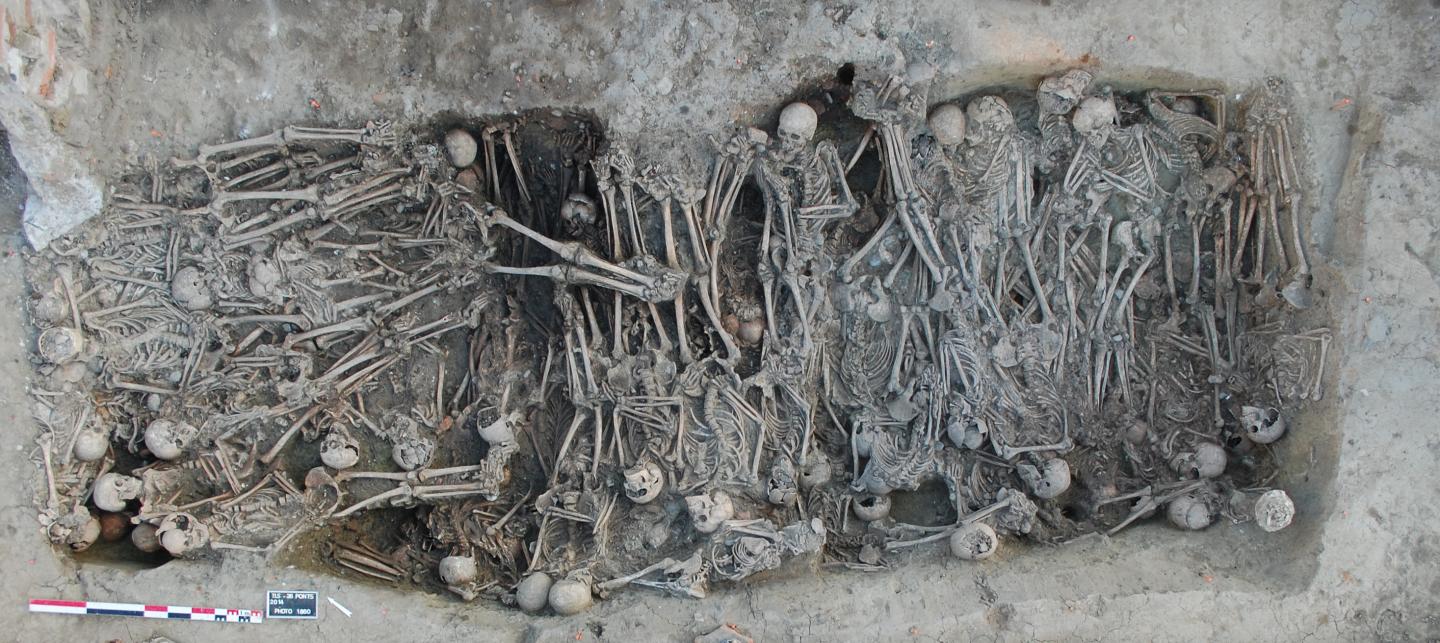 Mass Grave Dating to the Black Death Period (Toulouse, France)