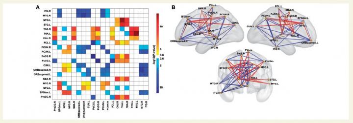 Connections between Regions of Interest