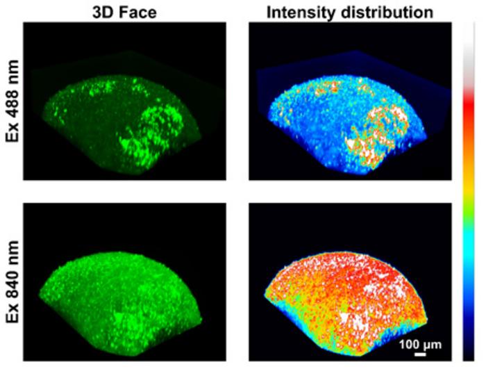 Two-photon imaging