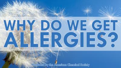 Why Do We Get Allergies? The Science of Springtime Sniffling and Sneezing (Video)