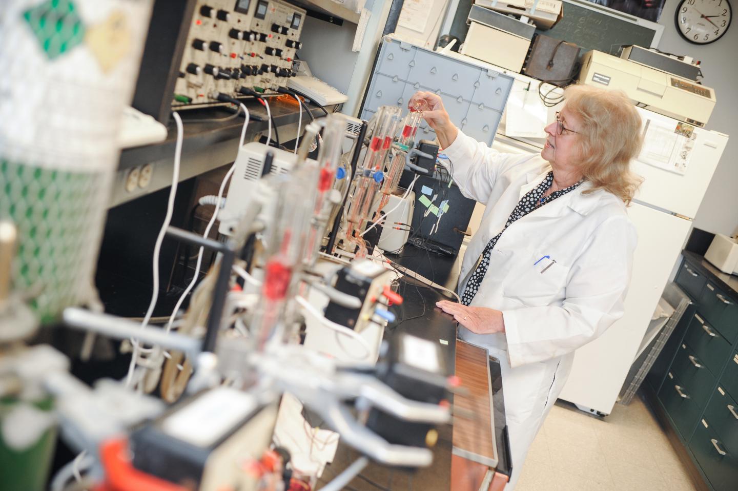 Bonnie Blazer-Yost, IUPUI