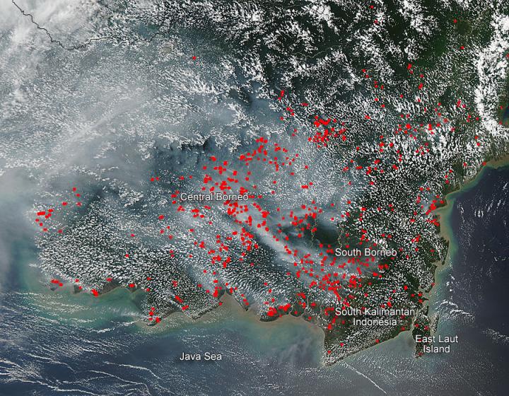 Fires in Borneo