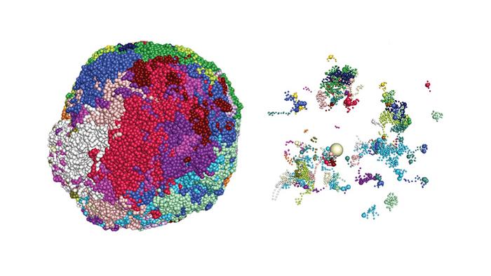A Genomic Atlas of Olfactory Receptor Genes
