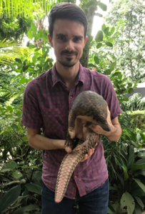 Dr Dan Challender with a Sunda pangolin Manis javanica.