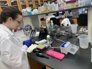 A researcher prepares samples to search for Salmonella in sewage