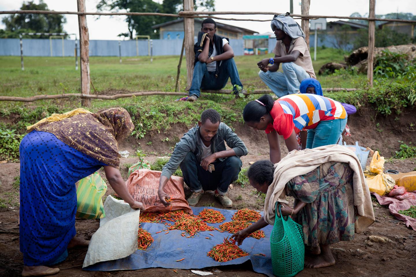 £374 Pound Bid for Ethiopia Community Natural Resources Projects Whilst Resisting Deforestation 2