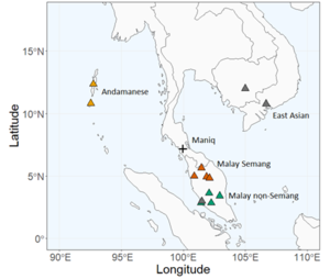 Study map