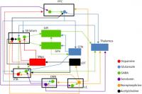 Schizophrenia Simulator Matrix for Working Memory Disturbance