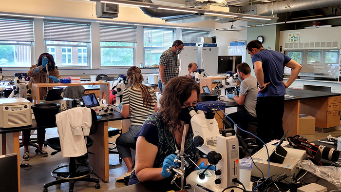 MBL Logan Science Journalism Fellows in CRISPR Lab