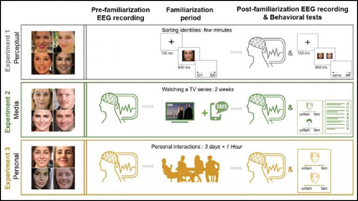 The Brain Learns Faces Fastest In Person