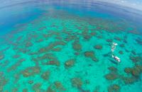Monitoring Reef Condition on the Great Barrier Reef