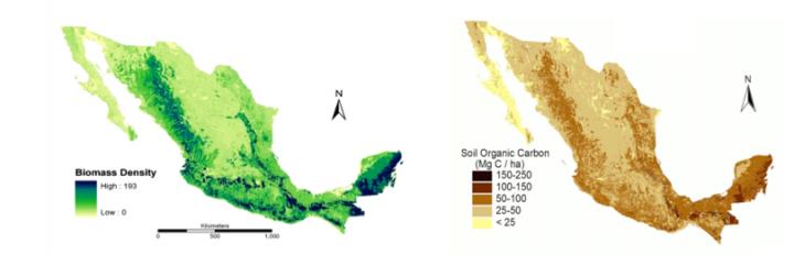 Carbon-Cycle Data from Mexico