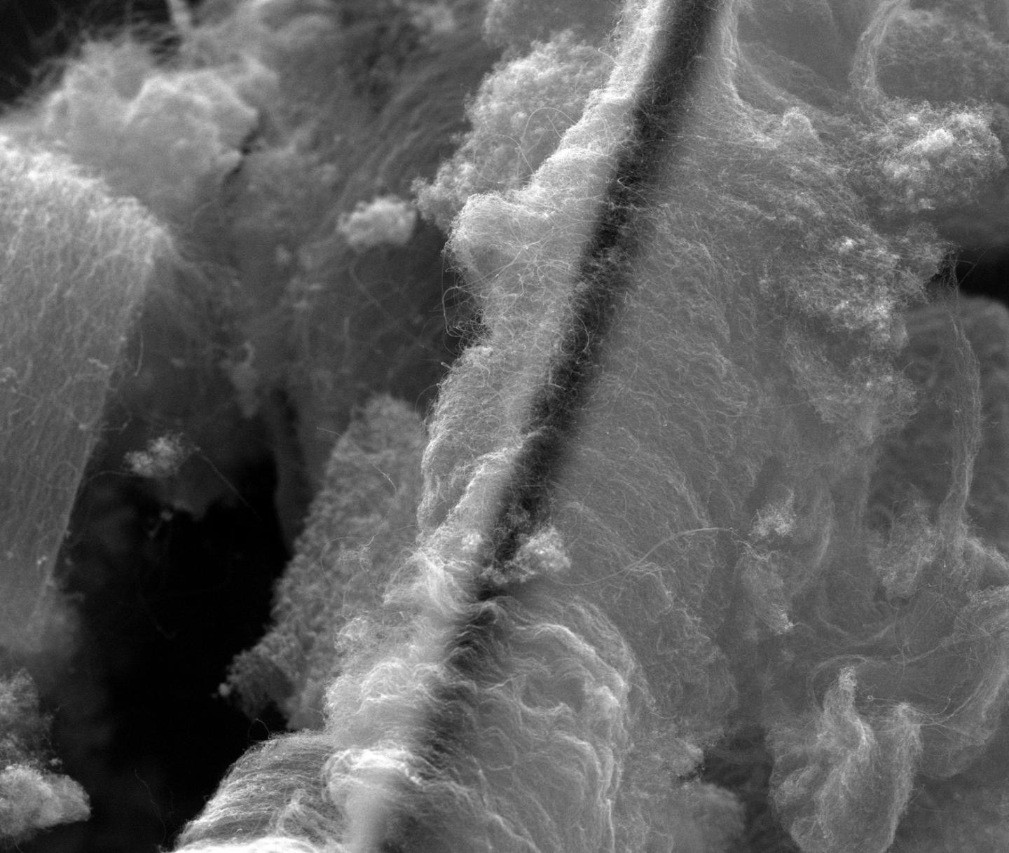 Heavy Metal (3 of 3)