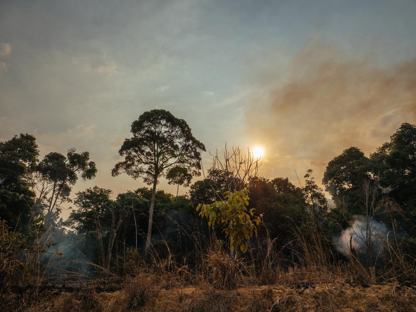 Burning Central Amazonian Forest