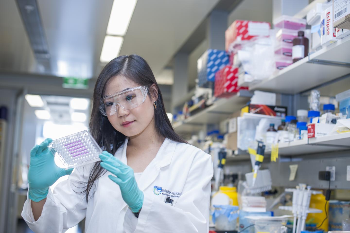 Francine Ke, Walter and Eliza Hall Institute