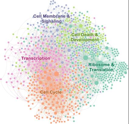 CNIO Grid of Proteins