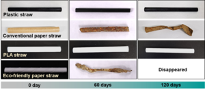 Degree of decomposition of the straw samples after being immersed in the ocean for 120 days.