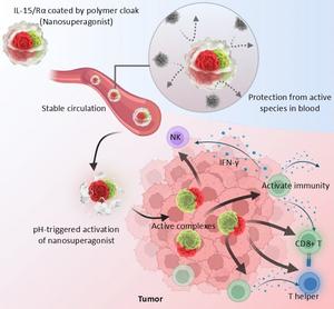 Polymeric cloak stabilizes cytokine complex t | EurekAlert!
