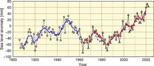 Mean sea level anomalies along the coast of Japan (1906-2020)