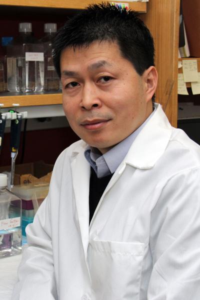 Xiang-Yang Wang, Virginia Commonwealth University