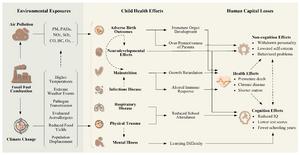 Pathways from fossil fuel combustion to the possible impacts on child health outcomes and associated human capital losses.