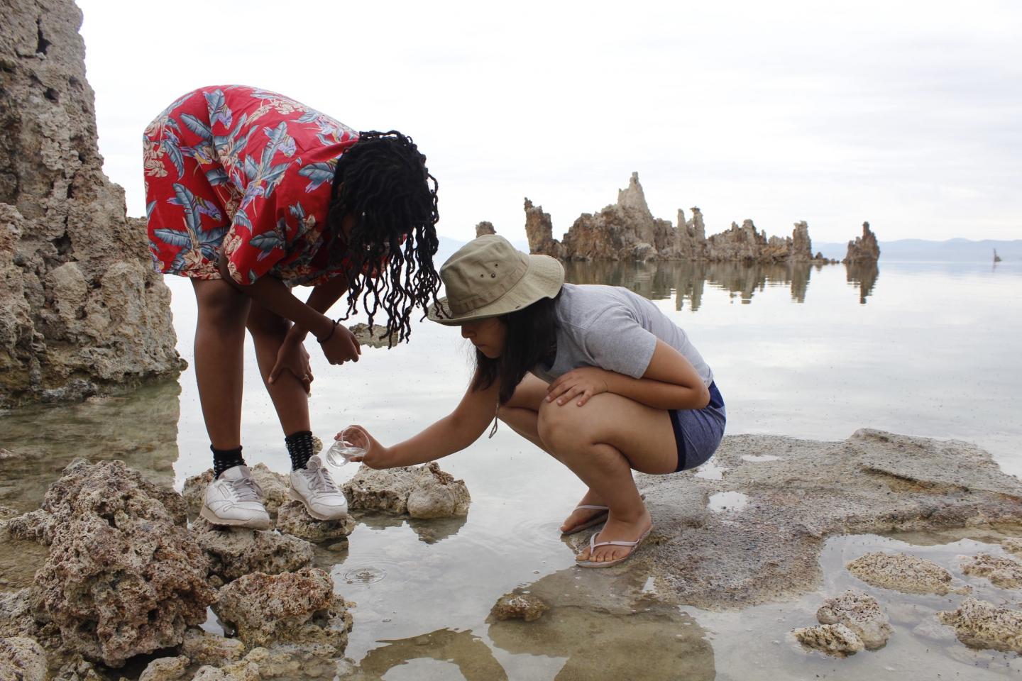 Field Courses Boost Student Success, Support STEM Diversity Efforts, Study Reveals