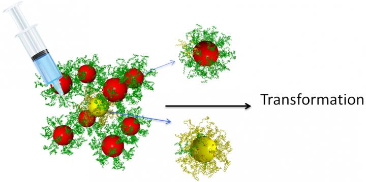 Transforming Nanoparticles with DNA