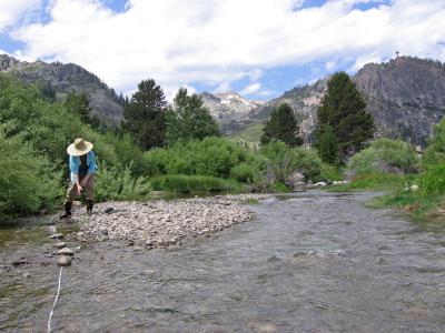 Researchers Study Creek at Squaw Valley, Calif.