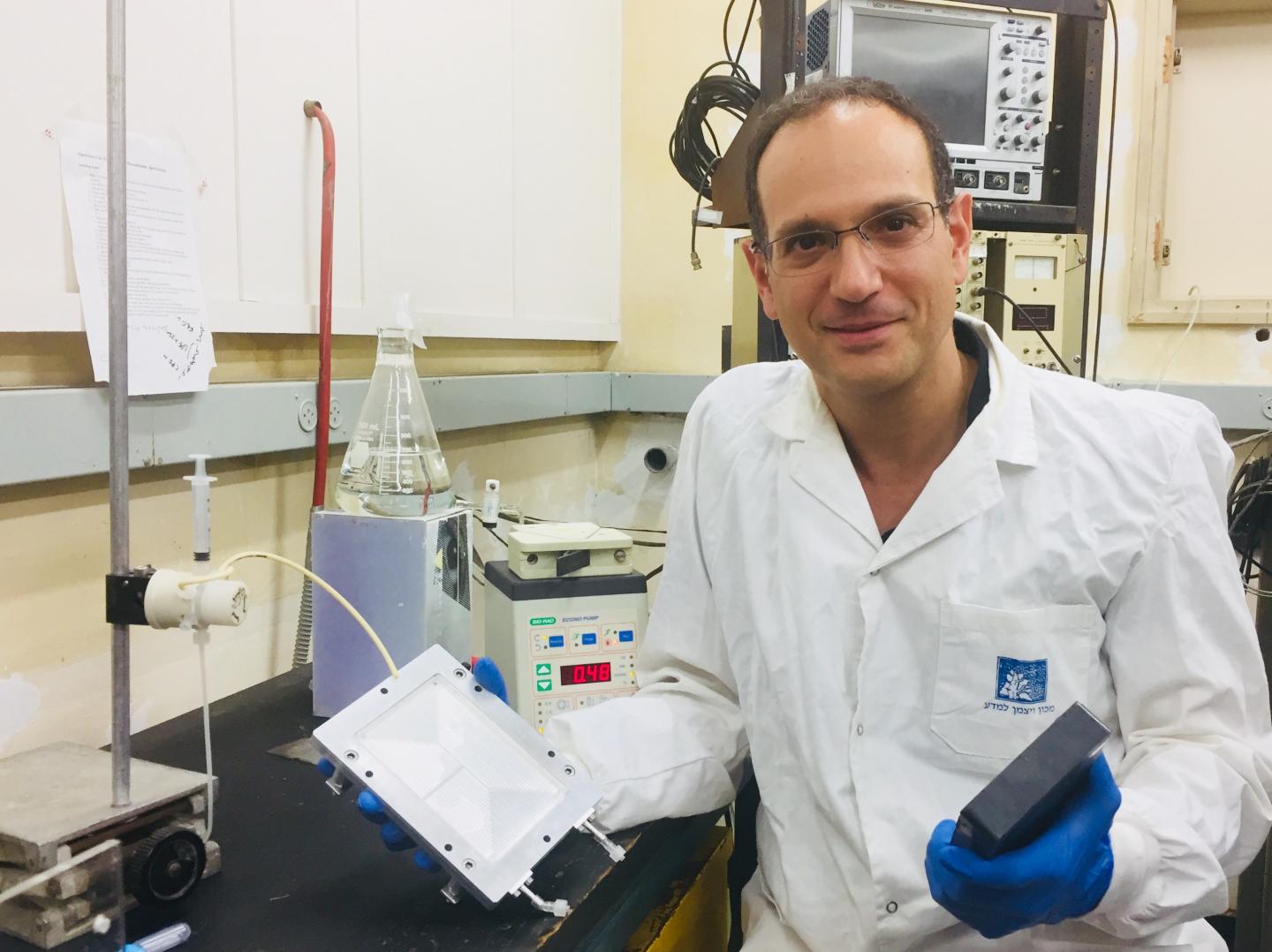 Scientists at Work in Naaman's Lab