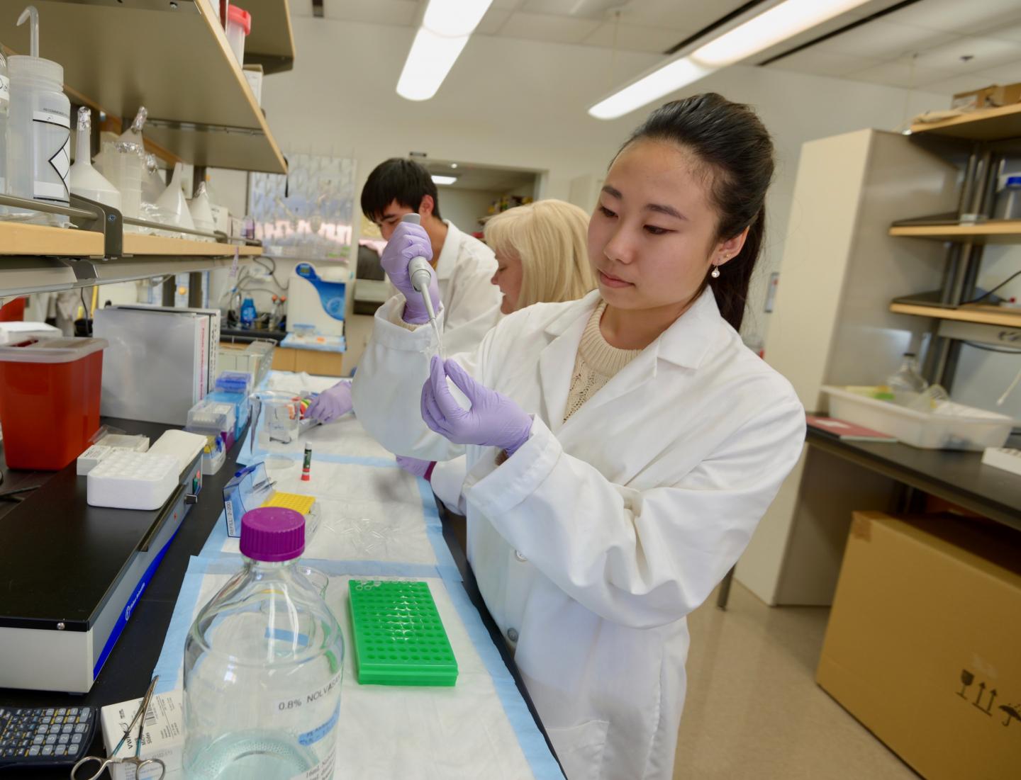 ASU Undergraduate Students Work in a Neuroscience Lab with a Faculty Mentor