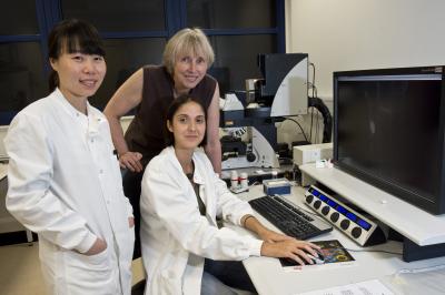 Live Imaging Reveals Gene Motion