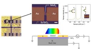 Schematic of MoS2 FET photodetector structure