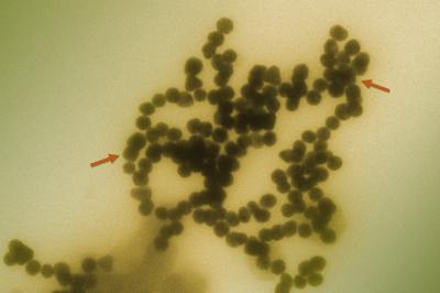 NIST Technique Controls Sizes of Nanoparticle Clusters for EHS Studies