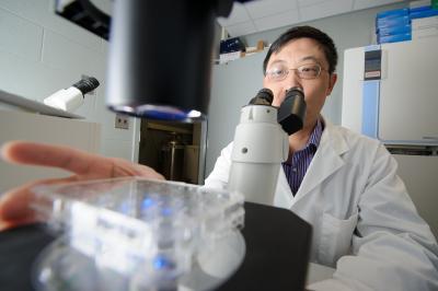 Kefei Yu, Michigan State University