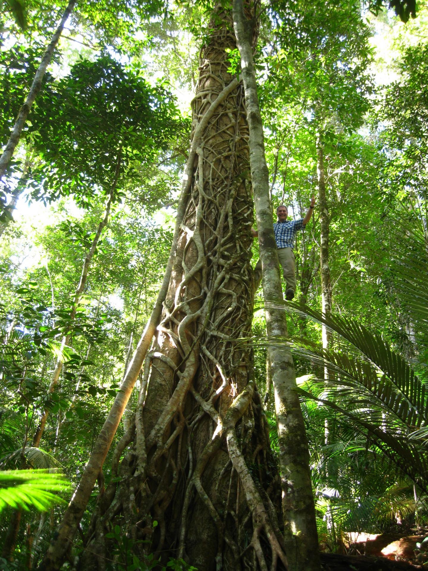 Ecologist Sees Forest for the Trees