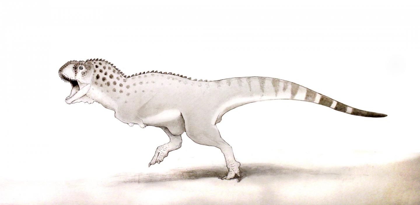 <i>Chenanisaurus barbaricus</i>