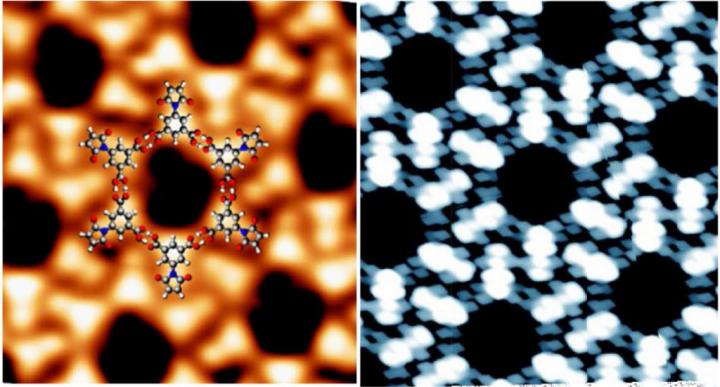 Visualization of the reaction using a STM