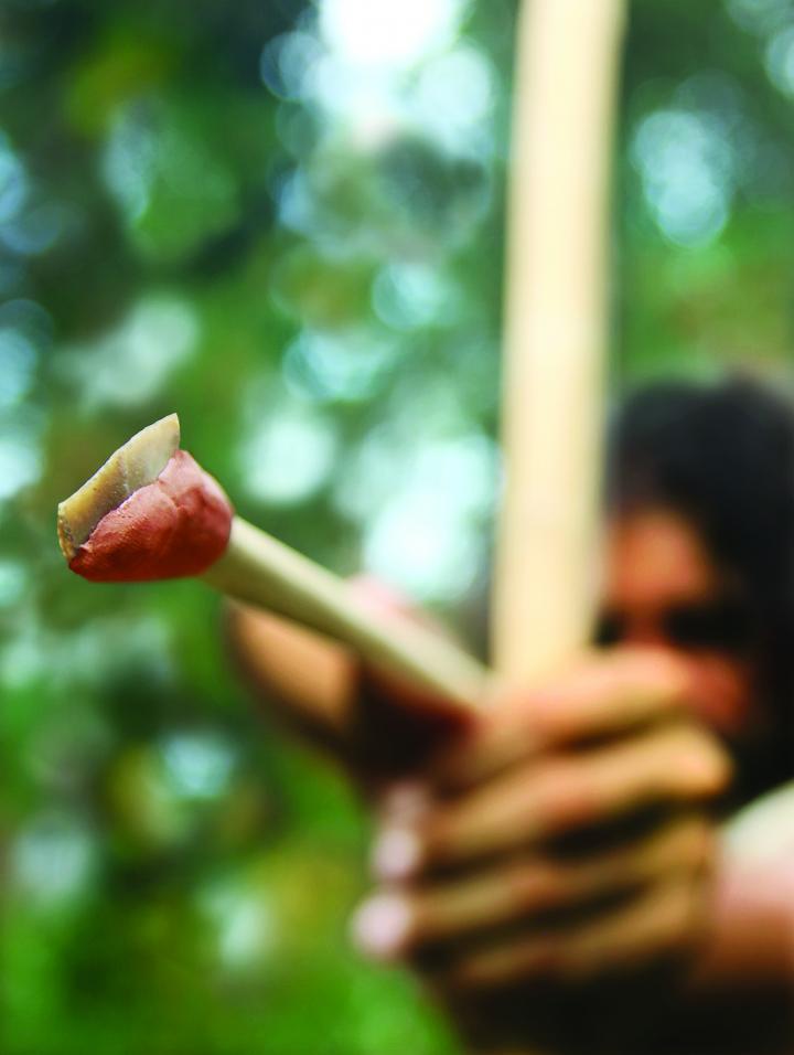 Insight into Competitive Advantage of Modern Humans over Neanderthals