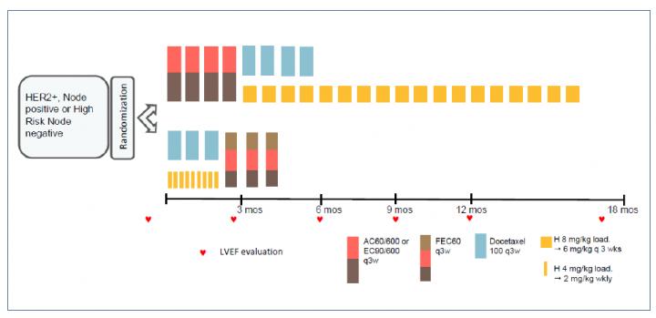 Short-HER Study Design