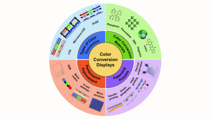 Figure 1 | The main content of this review.