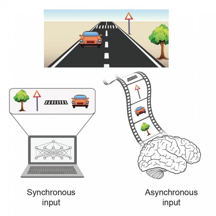 The Brain Inspires a New Type of Artificial Intelligence