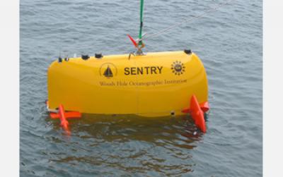 Un-tethered Sentry [IMAGE] | EurekAlert! Science News Releases